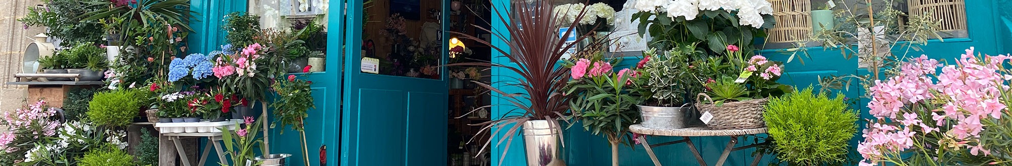 Chai Céline – Cave à vin et lieu convivial à Plassac